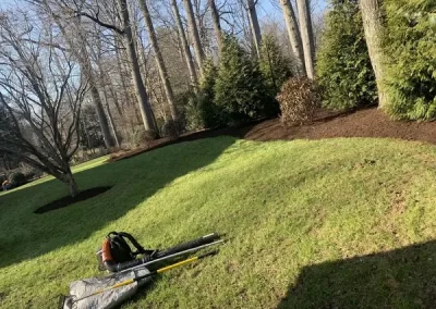 Landscape Company