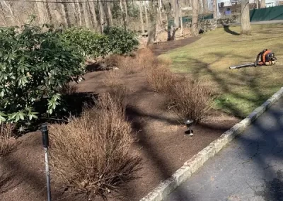 Landscape Services
