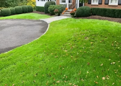 Landscape Services