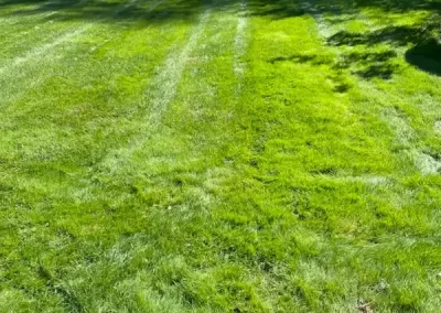Landscape Services