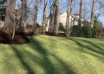 Landscape Services