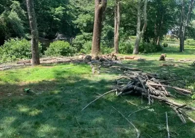 Landscape Services