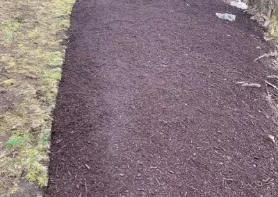 Landscape Services