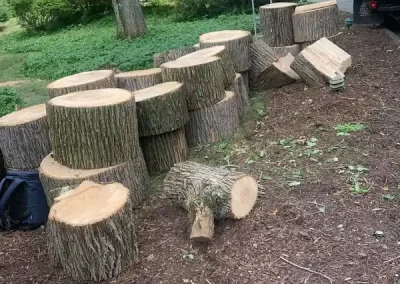 Landscape Services