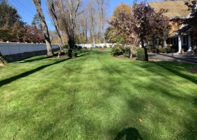 Landscaping Services